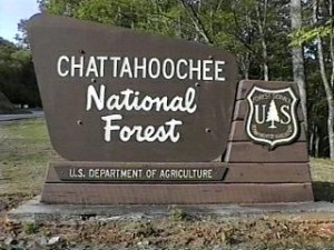 Chattahoochee Natural Forest